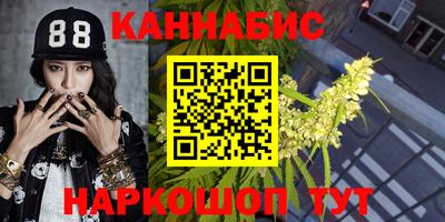тгк Дмитров