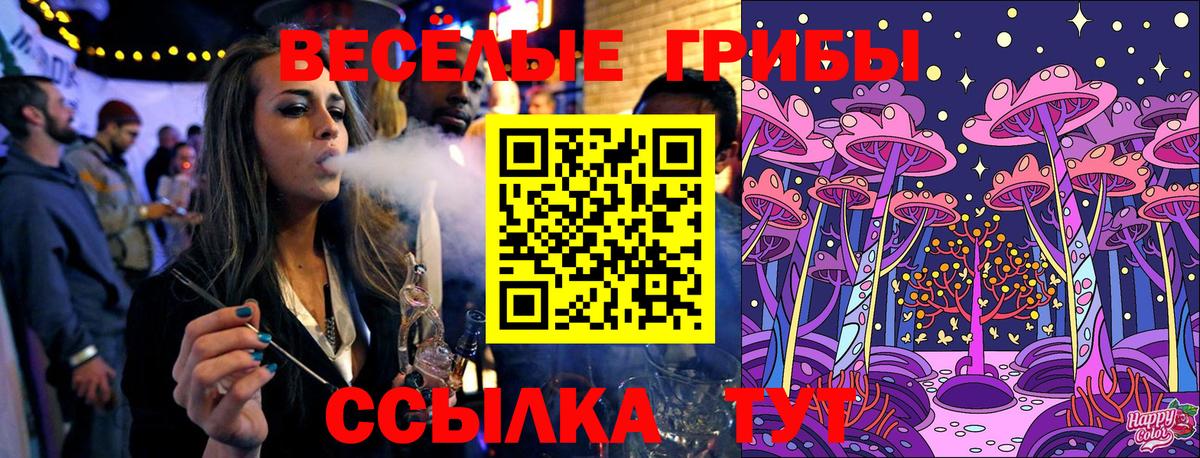 Псилоцибиновые грибы Psilocybine cubensis Петрозаводск